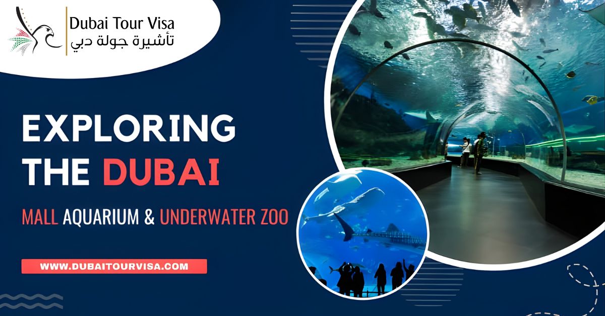 Exploring the Dubai Mall Aquarium & Underwater Zoo